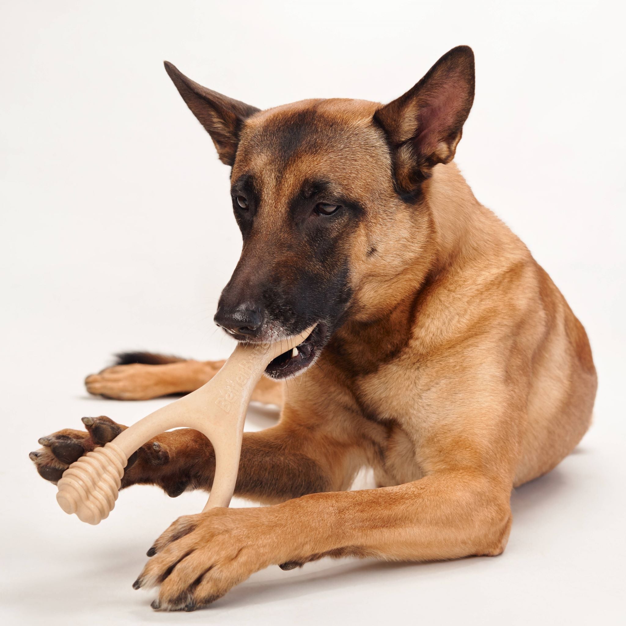 BetterBone MODERATE Durability CHEW TOY: Perfect Chew for Everyday Chewers | Naturally Derived Ingredients, Eco-Friendly, Non-Toxic
