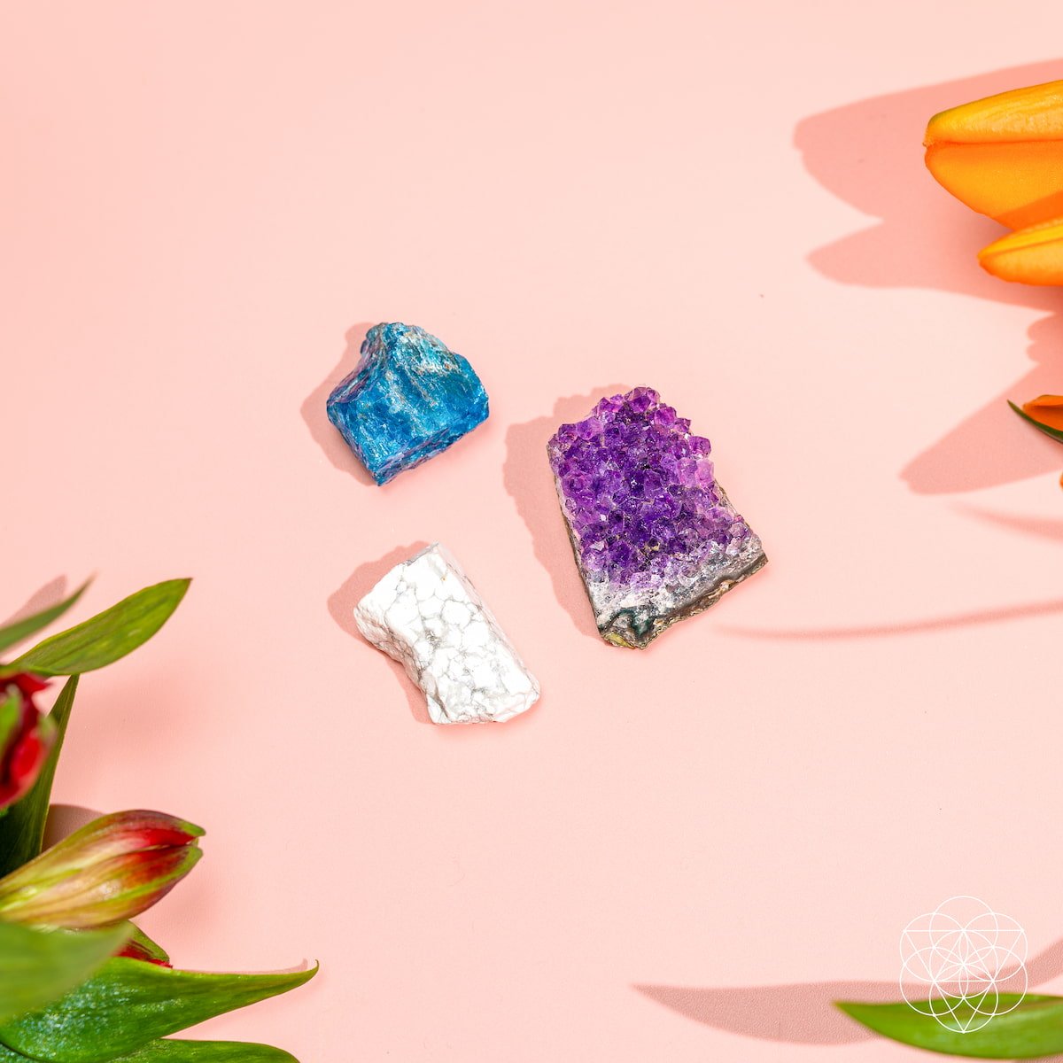 The Anti-Anxiety Trio