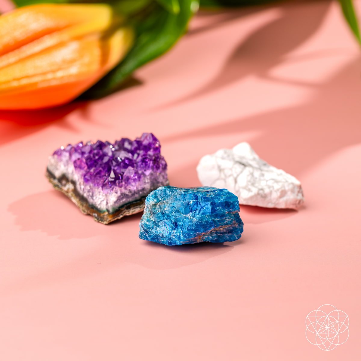 The Anti-Anxiety Trio